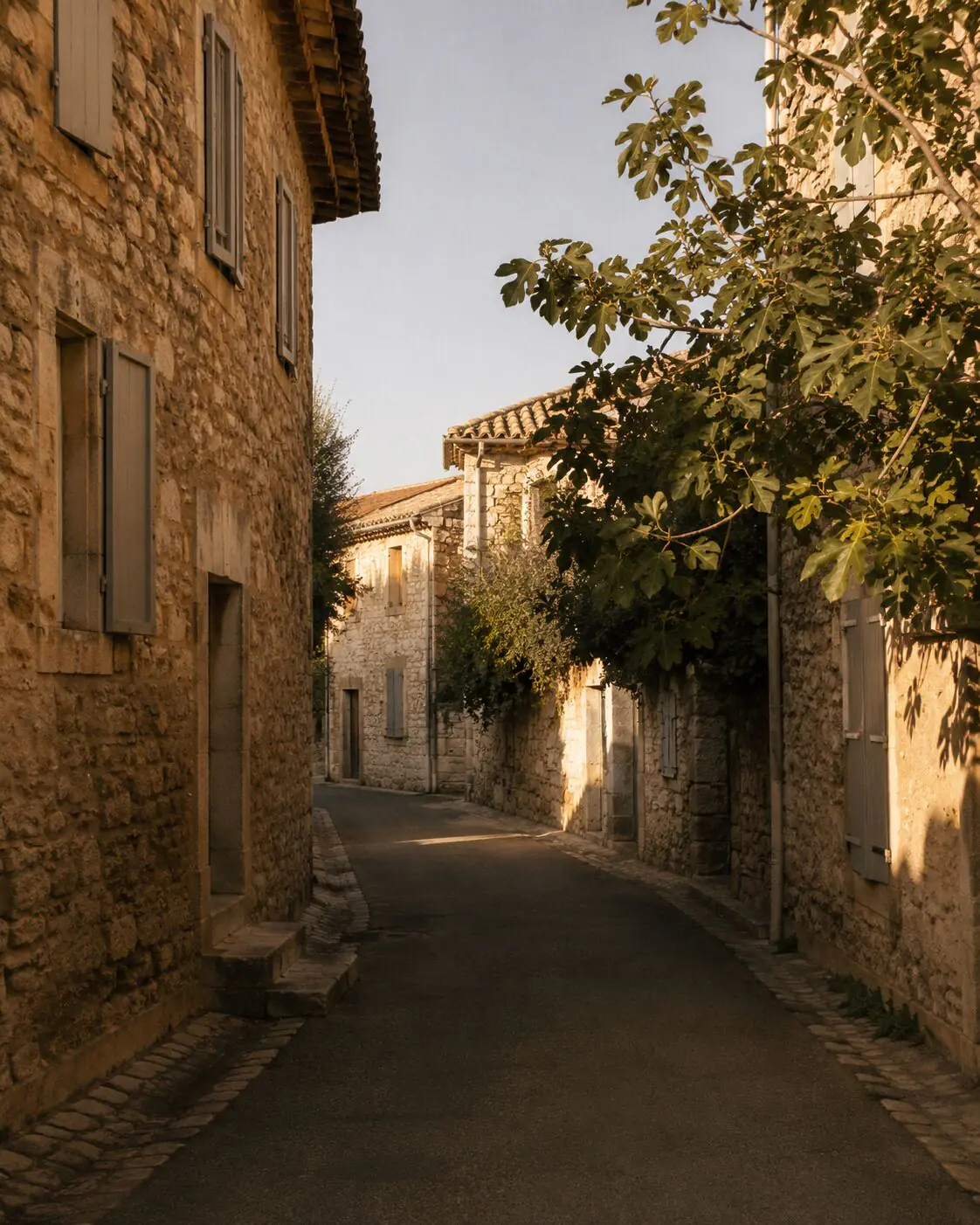 Ruelle d'un village provençal en fin de journée, murs en pierre et figuier
